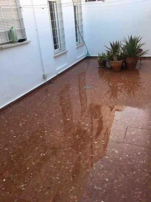 Casa Soleada En Calle Tranquila Sewilla Zewnętrze zdjęcie