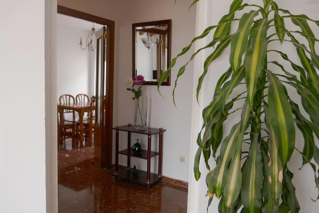 Casa Soleada En Calle Tranquila Sewilla Zewnętrze zdjęcie