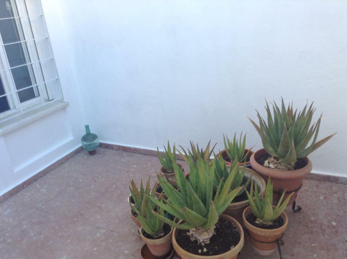 Casa Soleada En Calle Tranquila Sewilla Zewnętrze zdjęcie